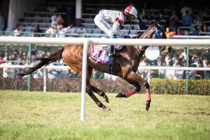 Is Legal Popular Horse Racing Betting Apps Legal in India? Complete 2026 Guide